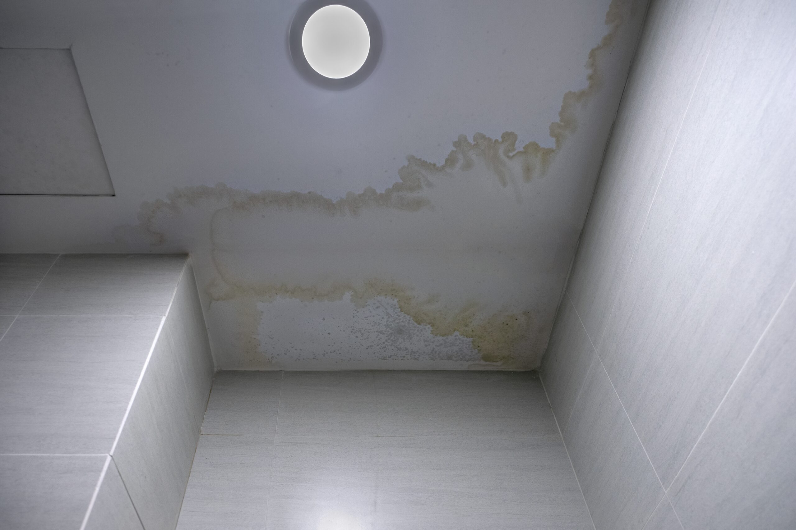 Ceiling water stain and possible leak damage