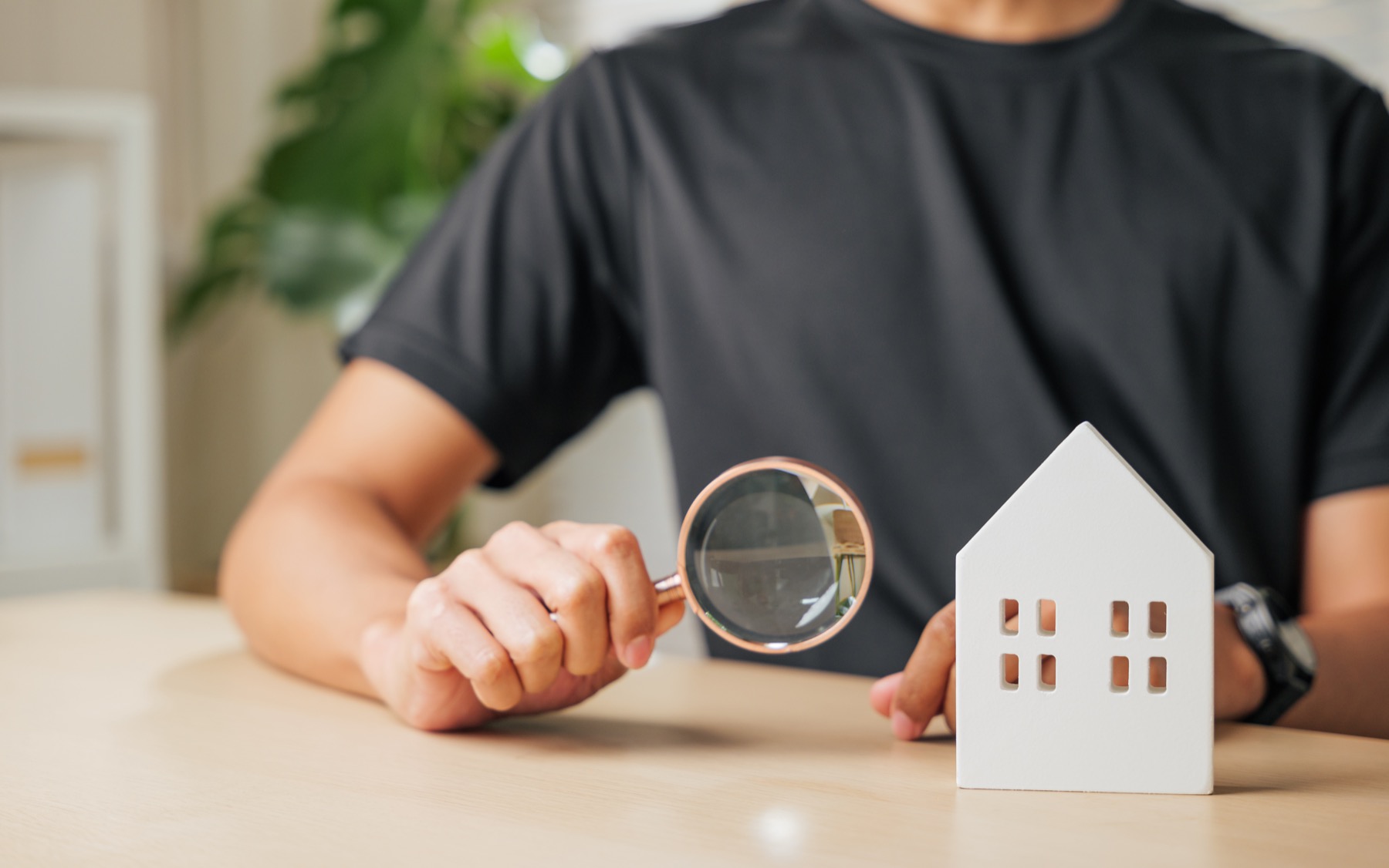 Homexpert home inspection service